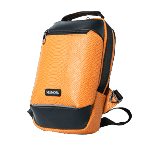 mini aura crossbody bag